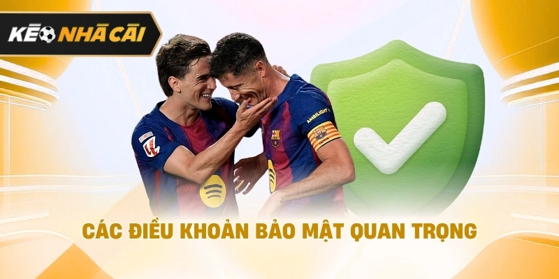 Theo cách tiếp cận dễ hiểu, các điều khoản bảo mật đáng chú ý cần biết 