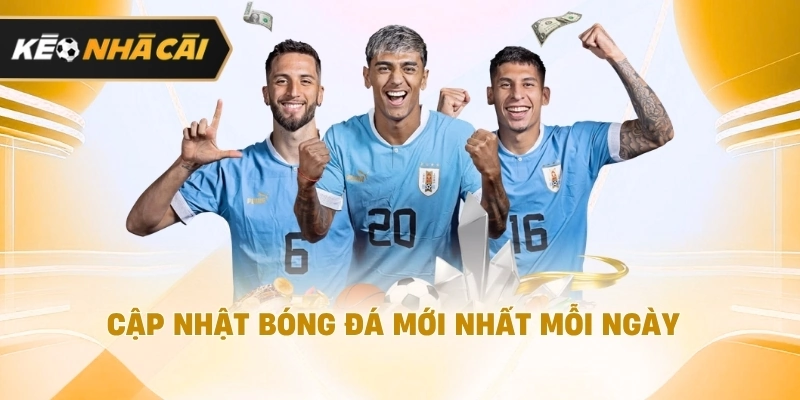 Cập nhật môn thể thao vua mới nhất mỗi ngày nên tham khảo 